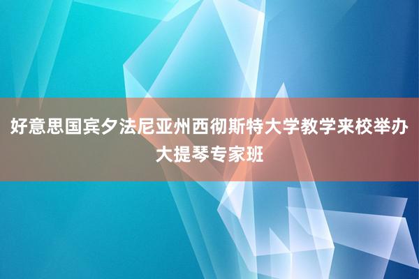 好意思国宾夕法尼亚州西彻斯特大学教学来校举办大提琴专家班